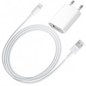 Oplader inclusief usb kabel voor iPhone Xs
