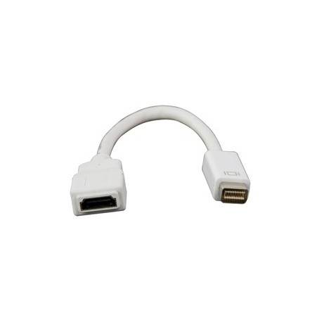 Stam geweld Aanhoudend Mini DVI naar HDMI kabel / adapter voor MacBook, iMac Intel,PowerBook 12"  DP model